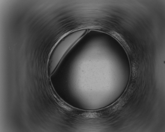 X0000052651236200507160214