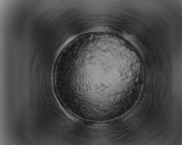 X0000052651237200507160214