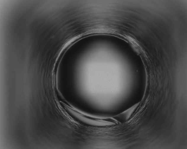 X0000052651238200507160214