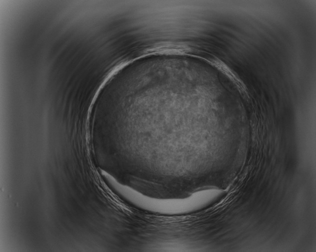 X0000052651240200507160215