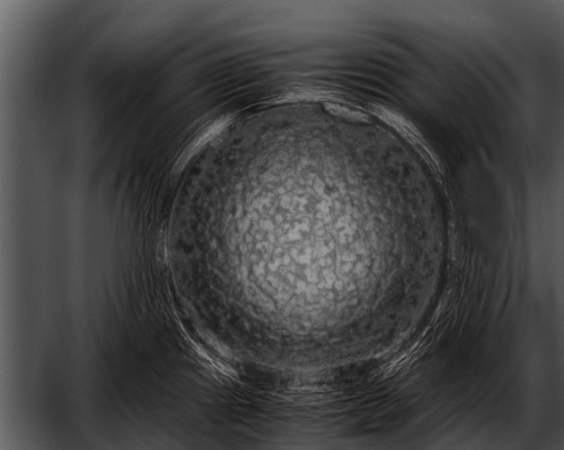 X0000052651241200507160215