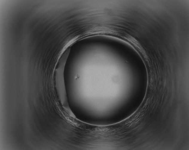 X0000052651242200507160215