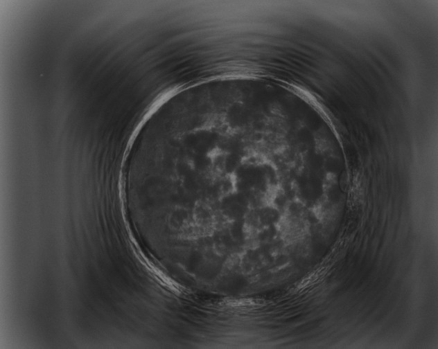 X0000052651243200507160215