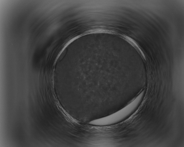 X0000052651244200507160215