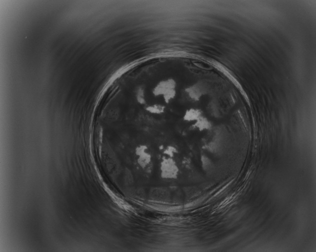 X0000052651245200507160215