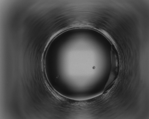 X0000052651246200507160215