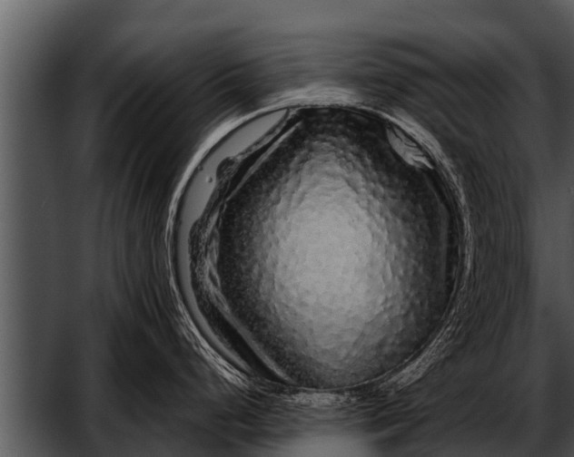 X0000052651248200507160215