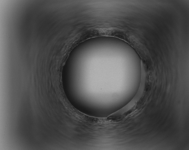 X0000052651249200507160214