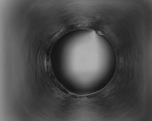 X0000052651250200507160214