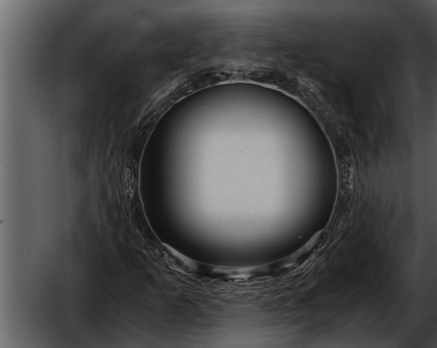 X0000052651253200507160214