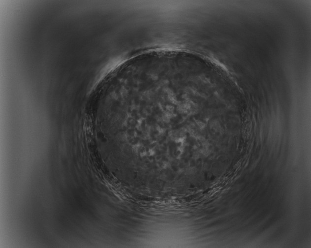 X0000052651255200507160214