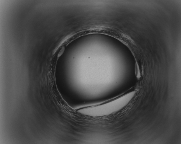 X0000052651256200507160214