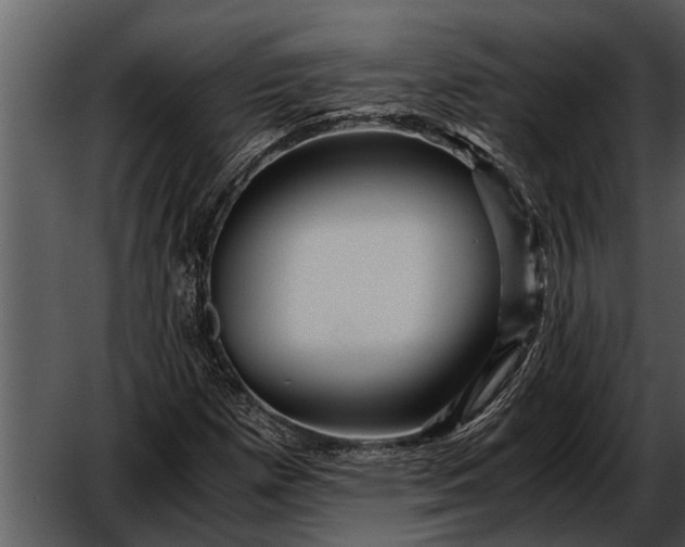 X0000052651257200507160214