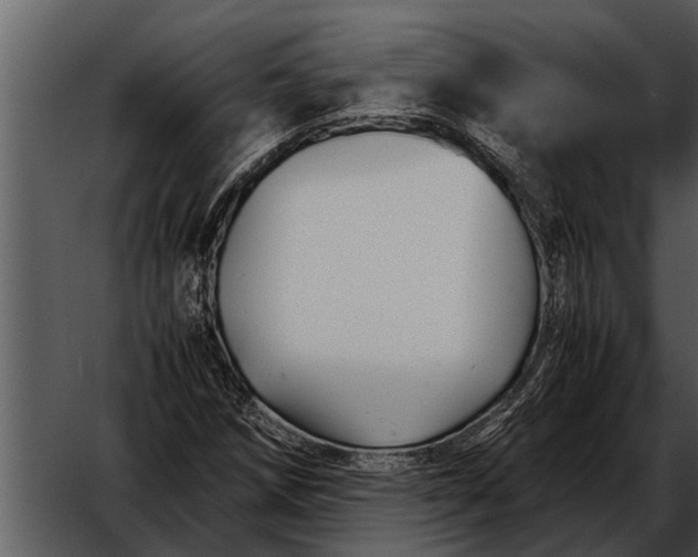 X0000052651258200507160214