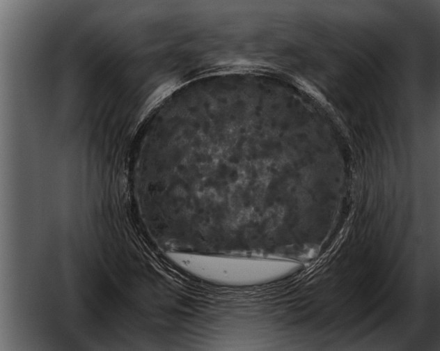 X0000052651259200507160214
