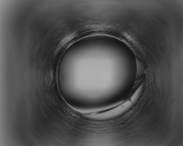 X0000052651261200507160214