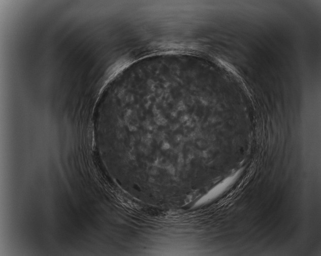 X0000052651267200507160214