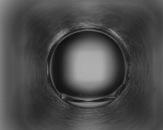 X0000052651269200507160214