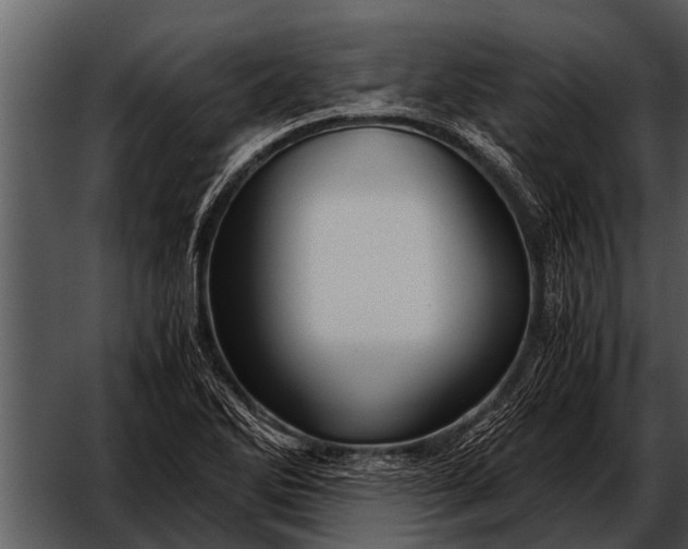 X0000052651270200507160213