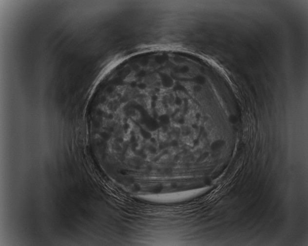 X0000052651271200507160213