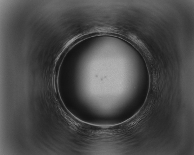 X0000052651272200507160213