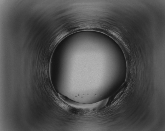 X0000052651273200507160213