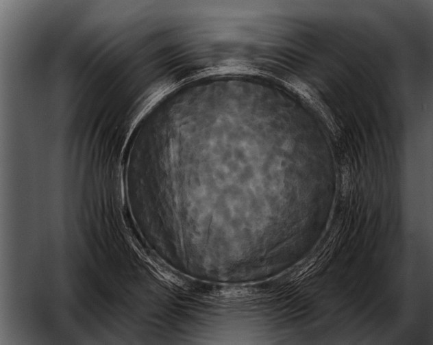 X0000052651274200507160213