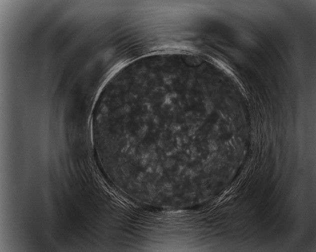 X0000052651275200507160213