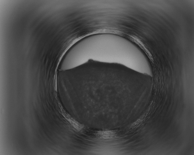X0000052651276200507160213
