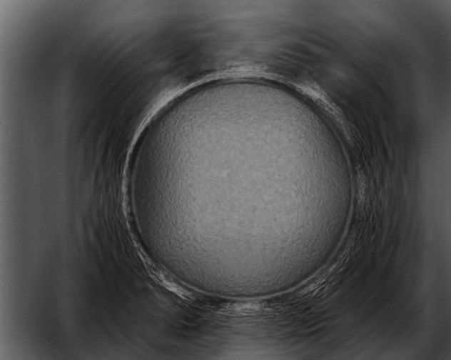 X0000052651278200507160213
