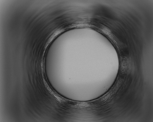 X0000052651282200507160213