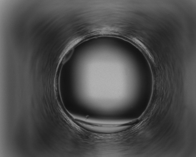 X0000052651285200507160213