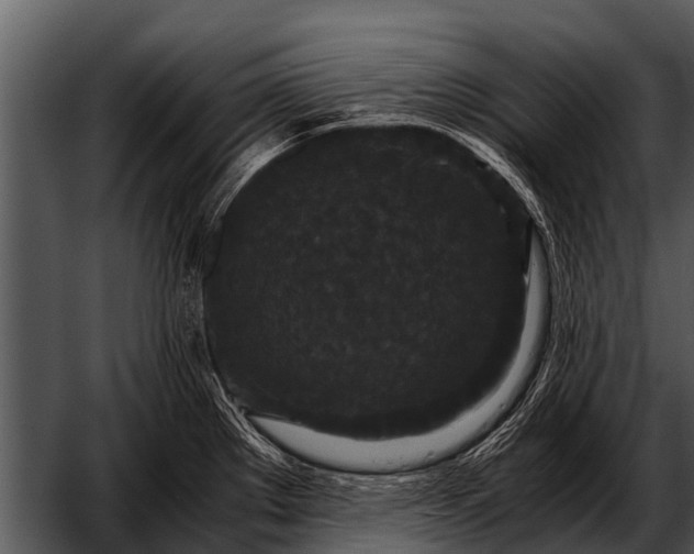 X0000052651289200507160213
