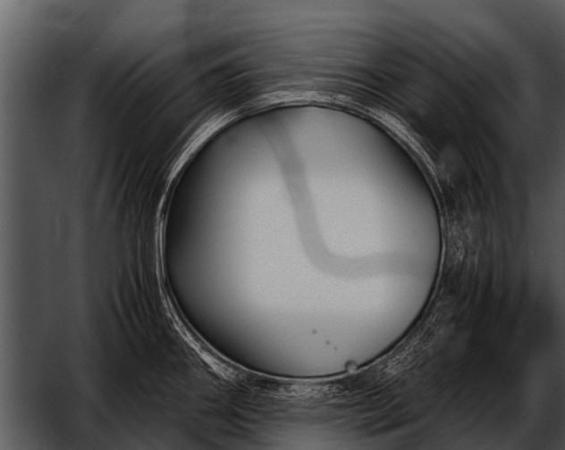 X0000052651290200507160213