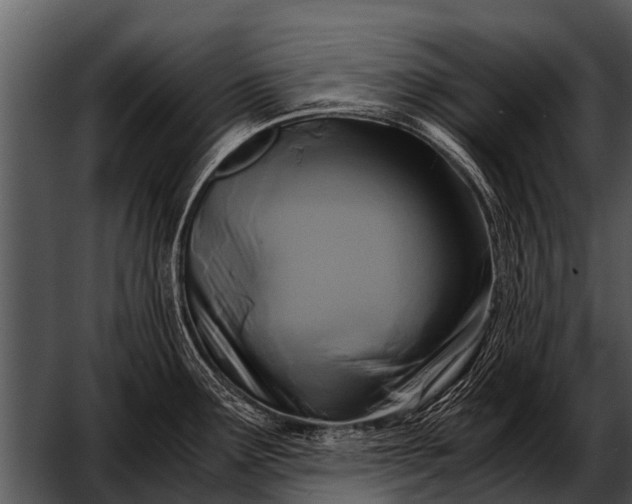 X0000052651291200507160213