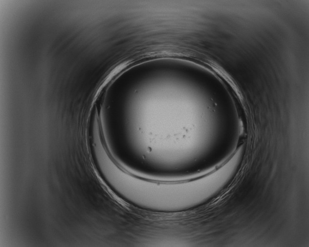 X0000052651293200507160213