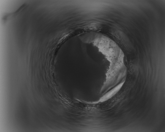 X0000052651297200507160212
