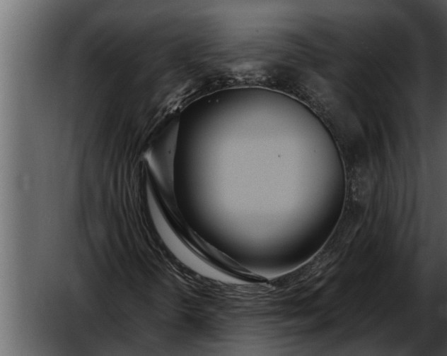 X0000052651298200507160212