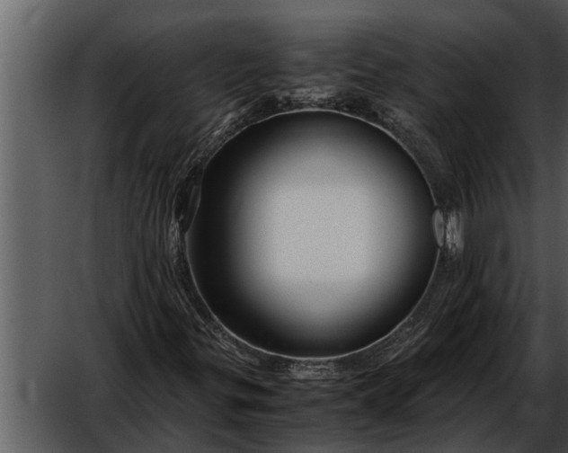 X0000052651299200507160212