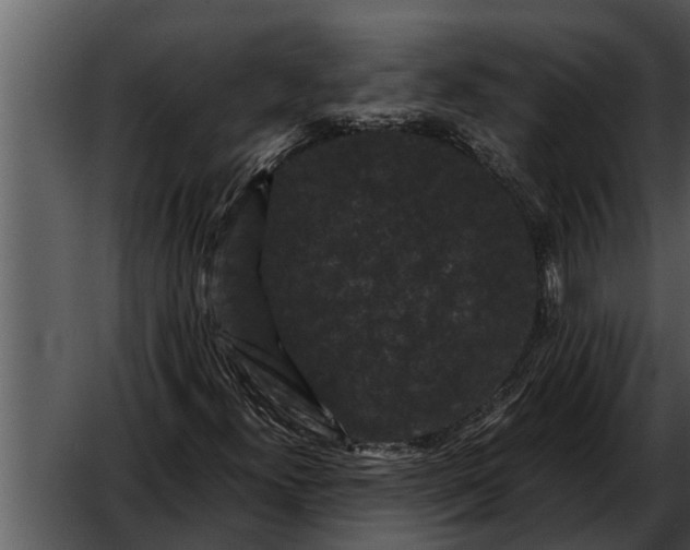 X0000052651300200507160212