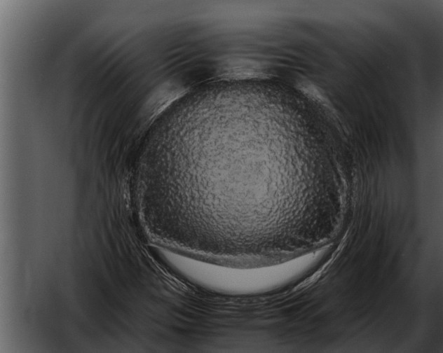 X0000052651305200507160212