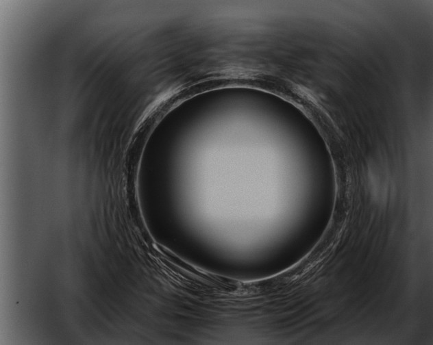 X0000052651307200507160212