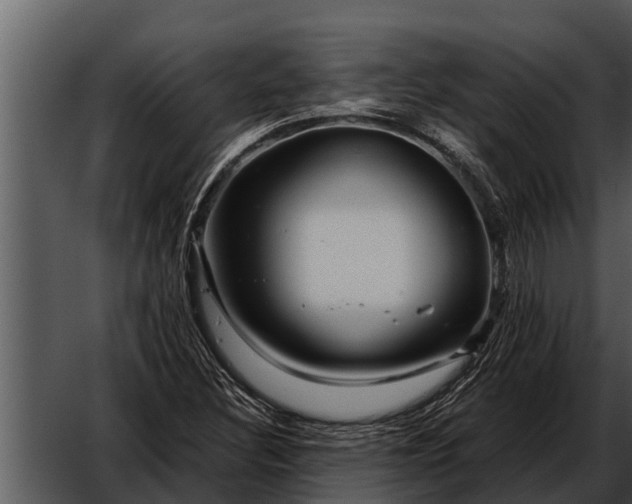 X0000052651308200507160212