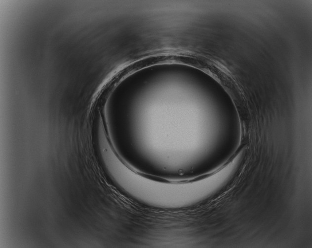 X0000052651310200507160212
