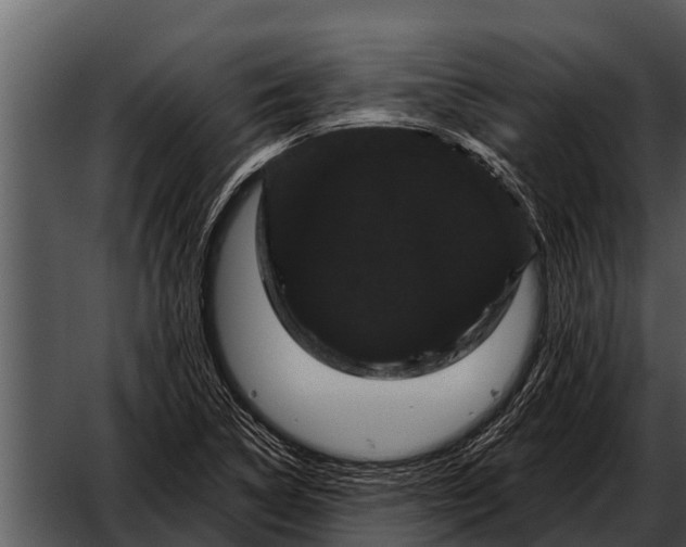 X0000052651314200507160213
