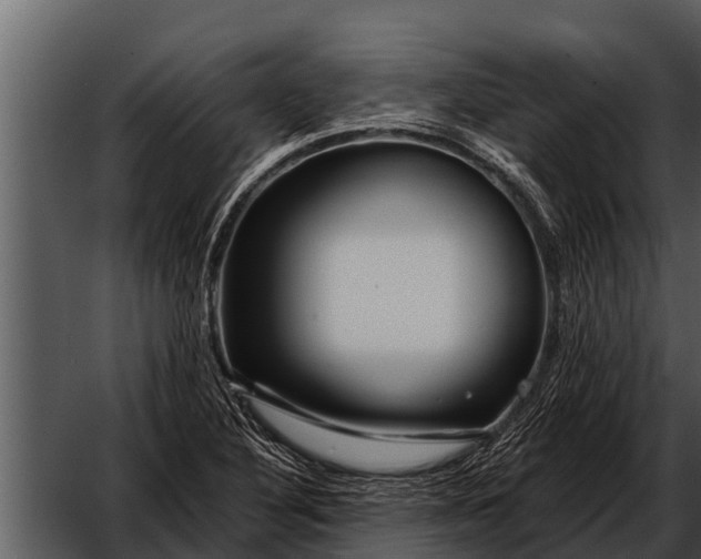X0000052651316200507160213
