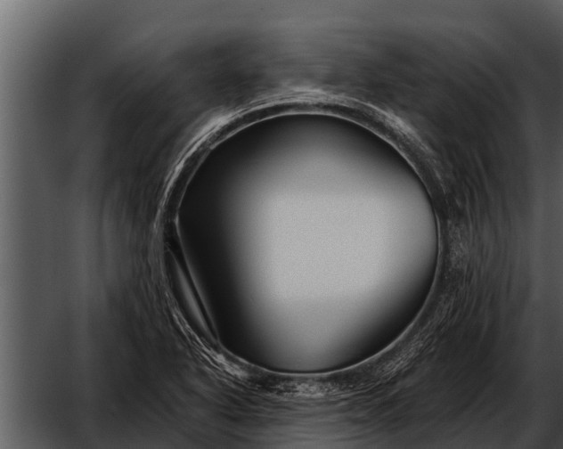 X0000052651318200507160213