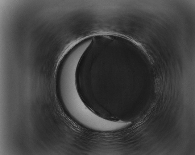 X0000052651319200507160213