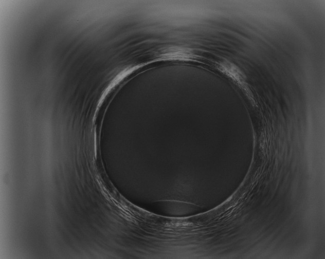 X0000052651323200507160213