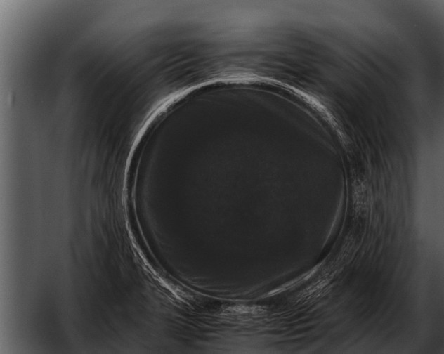 X0000052651327200507160213